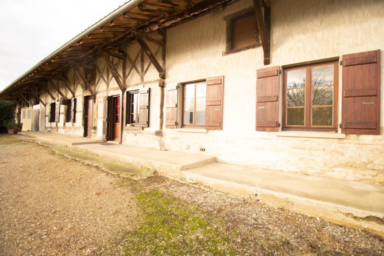 Ferme Bressane - 4 Chambres Saint-Etienne-du-Bois  Exterior foto